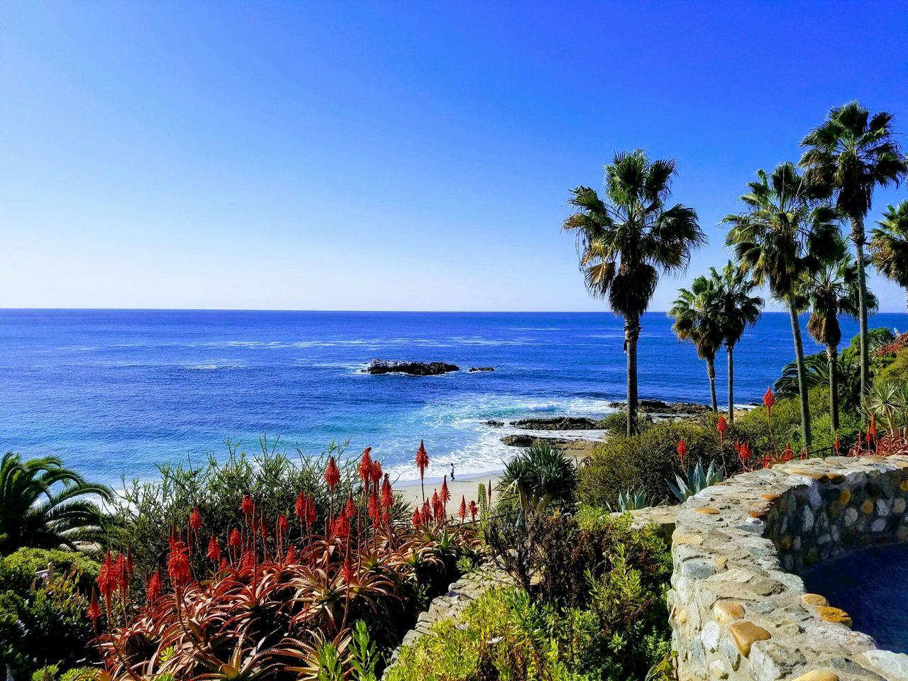 Palms and red aloe above a deep-blue cove at Heisler Park, Laguna Beach