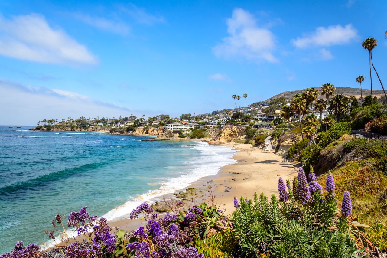 Turquoise cove, palms and purple flowers on the Laguna Beach coast