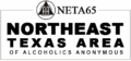 NETA 65 Logo